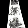 izanne wiid sunet ferreira speel mixed medium 02