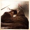 izanne wiid studio 014