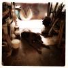 izanne wiid studio 010