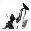 izanne wiid butterfly lilly shoe 01
