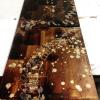 izanne wiid studio 074