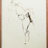izanne wiid lifedrawing 085