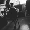 izanne wiid studio 082