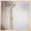 izanne wiid studio 095