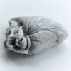 izanne wiid hOle 02