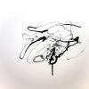 izanne wiid lifedrawing 0105