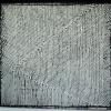 izanne wiid relieve1 001