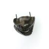 izanne wiid the scream bronze 11